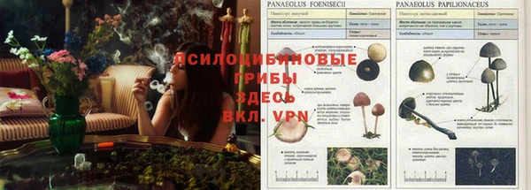 не бодяженный Абдулино
