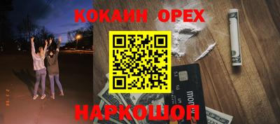 ГАЛЛЮЦИНОГЕННЫЕ ГРИБЫ Кингисепп
