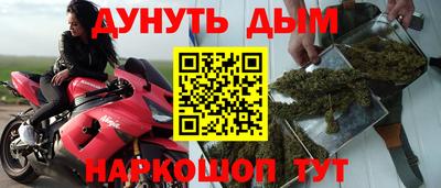 ГАЛЛЮЦИНОГЕННЫЕ ГРИБЫ Кингисепп