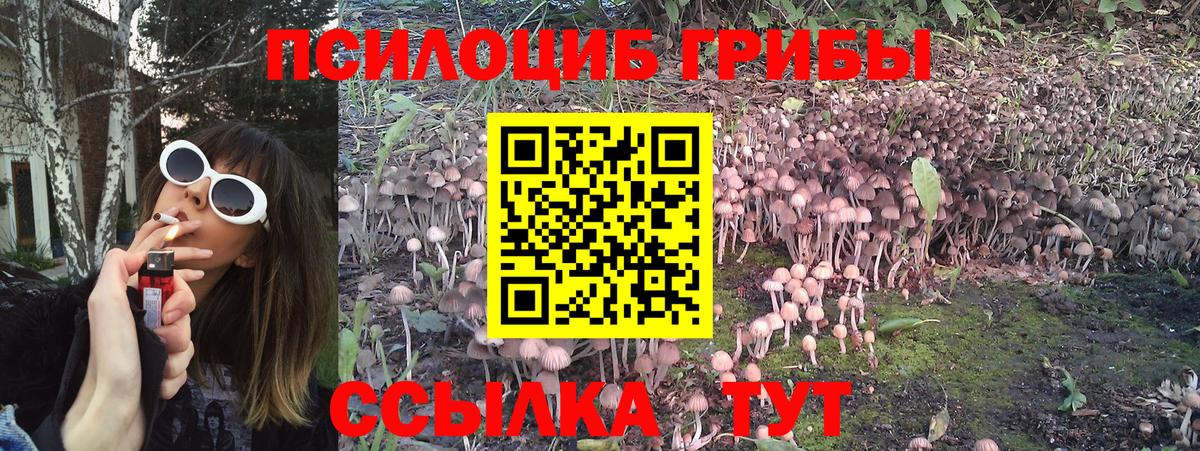 Галлюциногенные грибы мицелий Когалым