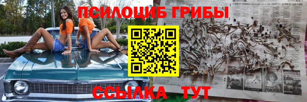 Когалым  магазин    Вход с VPN  Галлюциногенные грибы GOLDEN TEACHER 